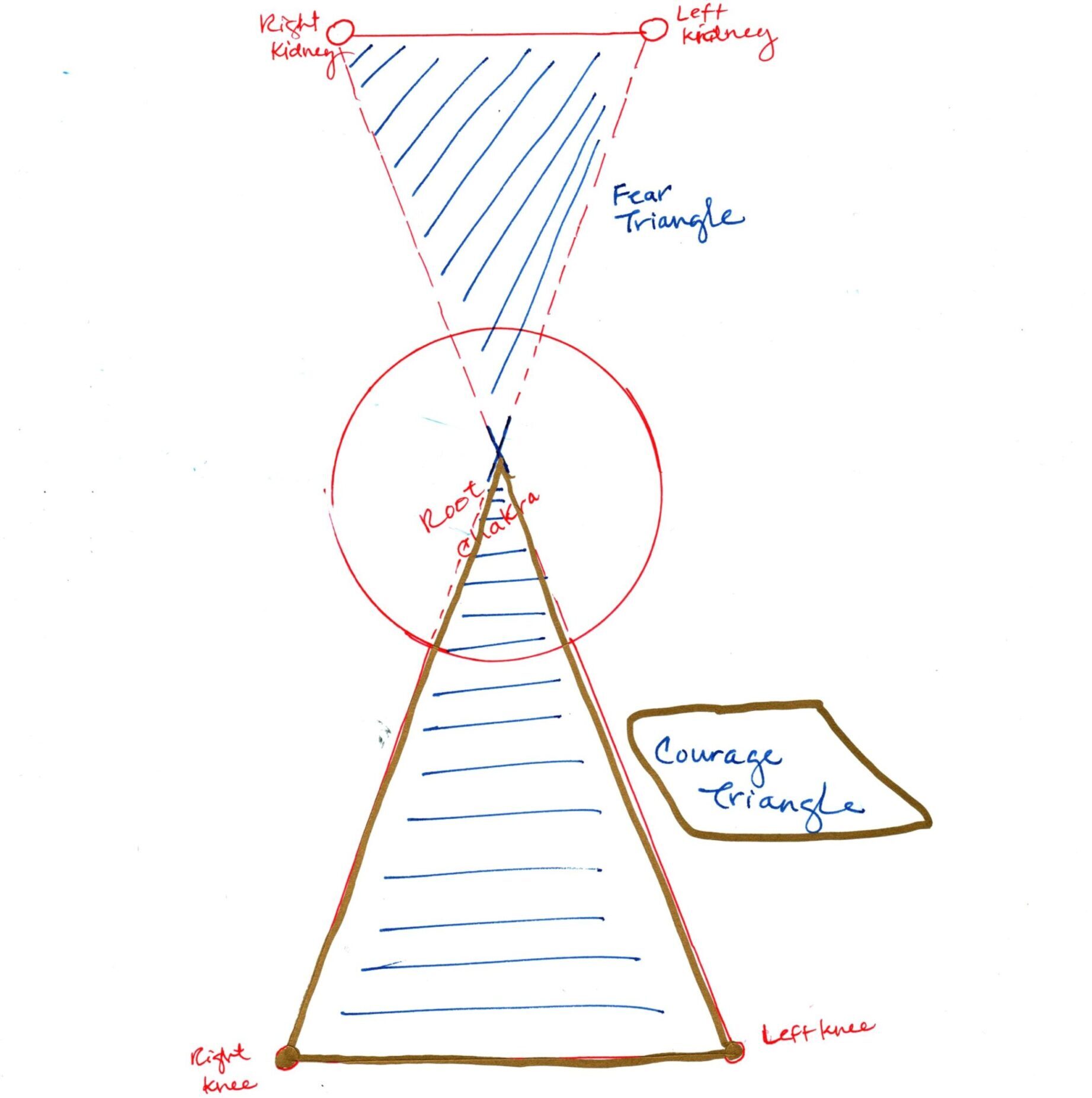 Hand drawn image to show connections for Fear and Courage.